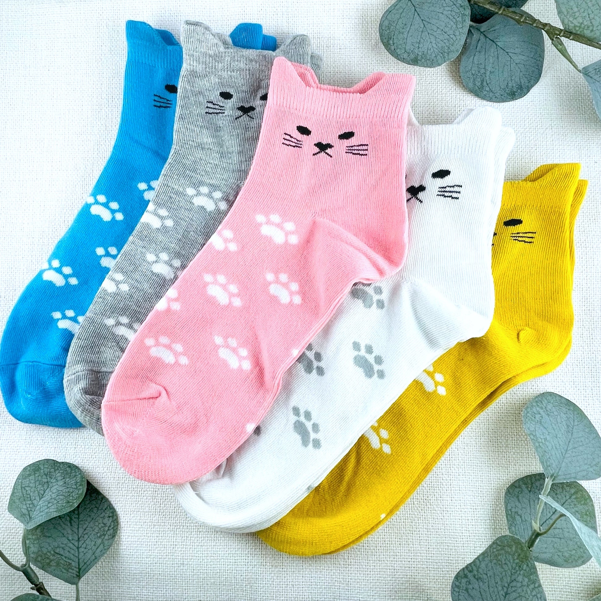 Cute Cat Ear Ankle Socks Pack of 5 - All Colours