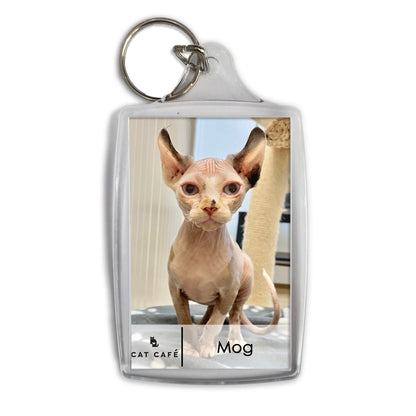 Cat Cafe Liverpool Keyring - Mog