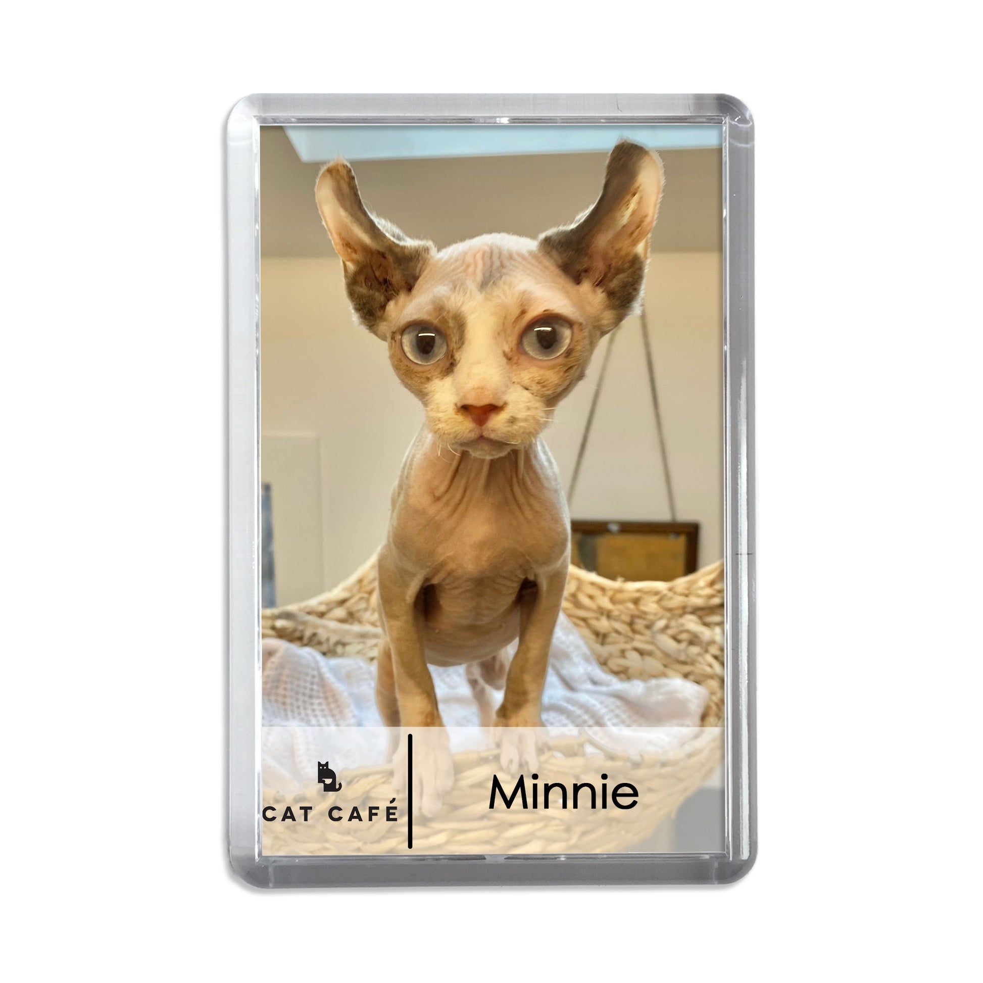 Cat Cafe Liverpool Magnet - Minnie